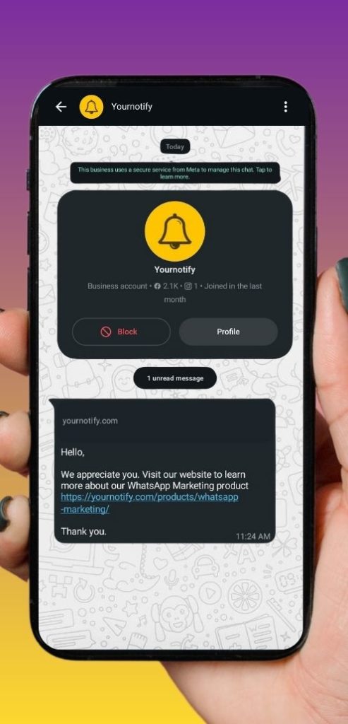 WhatsApp Marketing on Yournotify